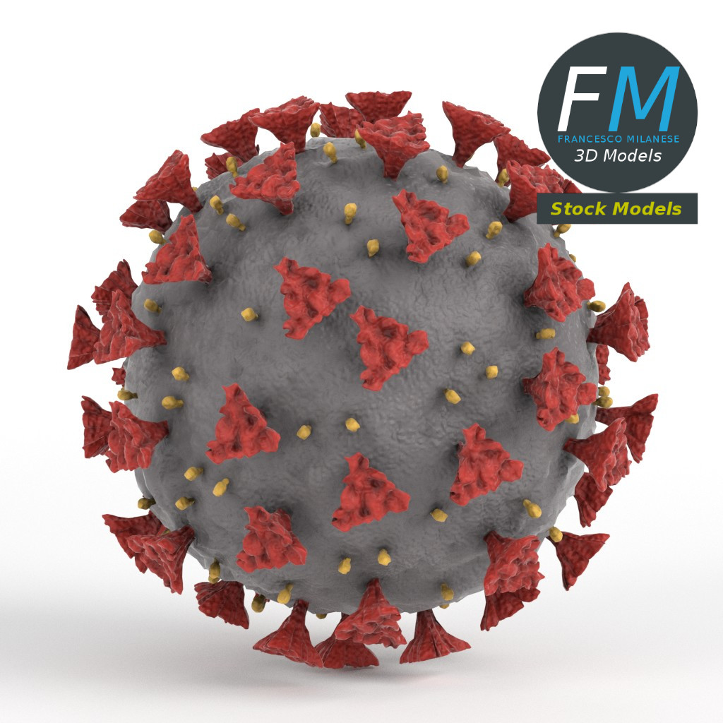 3D-Modell - COVID-19-Coronavirus - 02