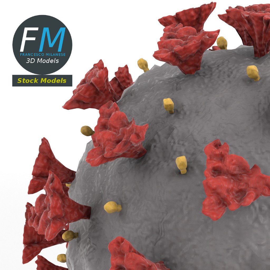 3D-Modell - COVID-19-Coronavirus - 04
