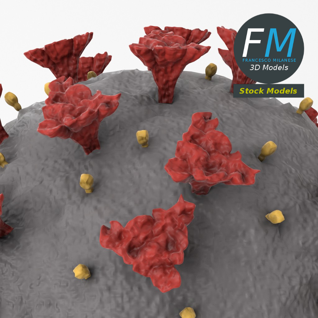3D-Modell - COVID-19-Coronavirus - 05