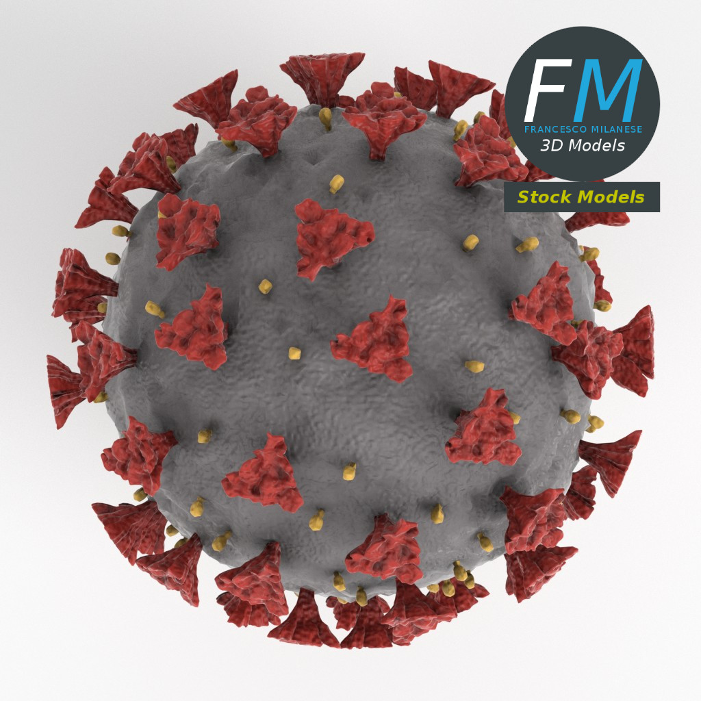 3D-Modell - COVID-19-Coronavirus - 06