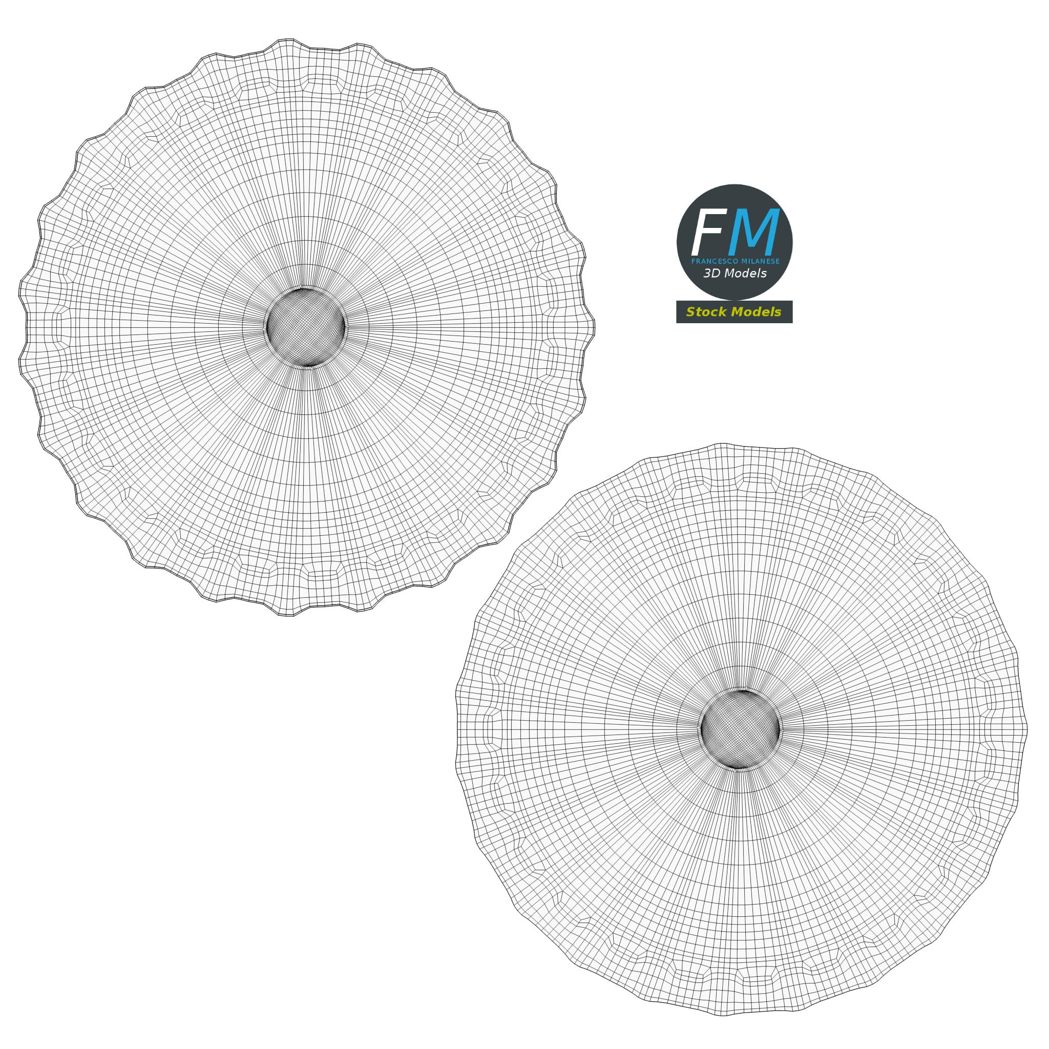 3D-Modell - Kronkorken mit Etikett - 11