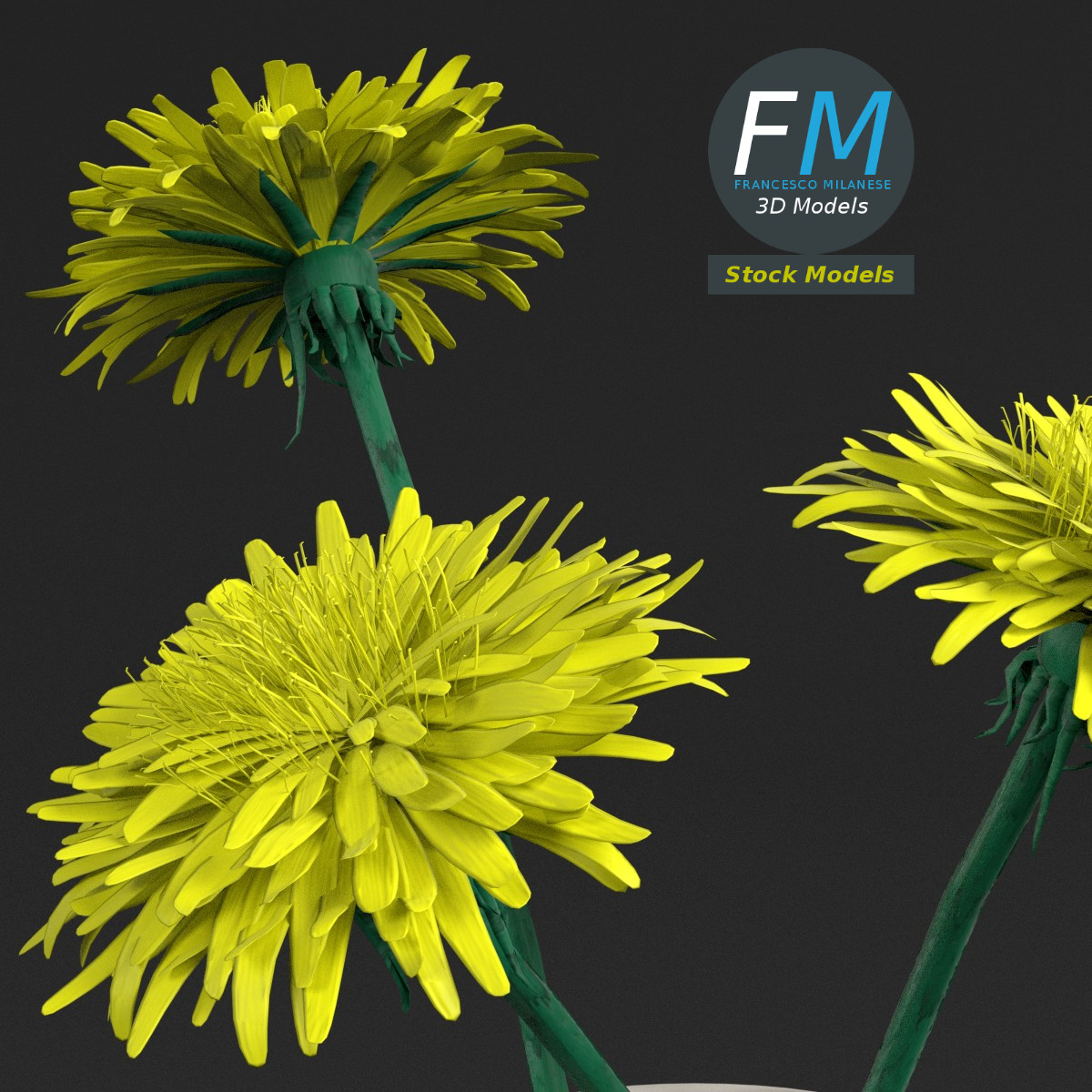 3D-Modell - Löwenzahnblüten in einer Vase - 03