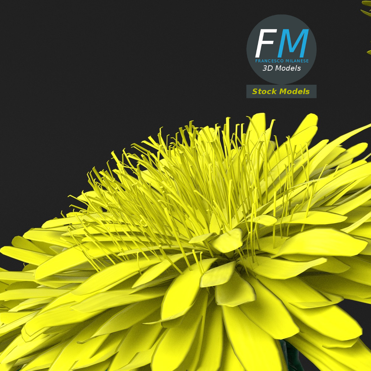 3D-Modell - Löwenzahnblüten in einer Vase - 05