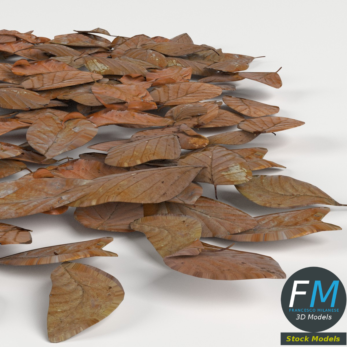 3D-Modell - Bodenmodul mit Trockenen Blättern - 04