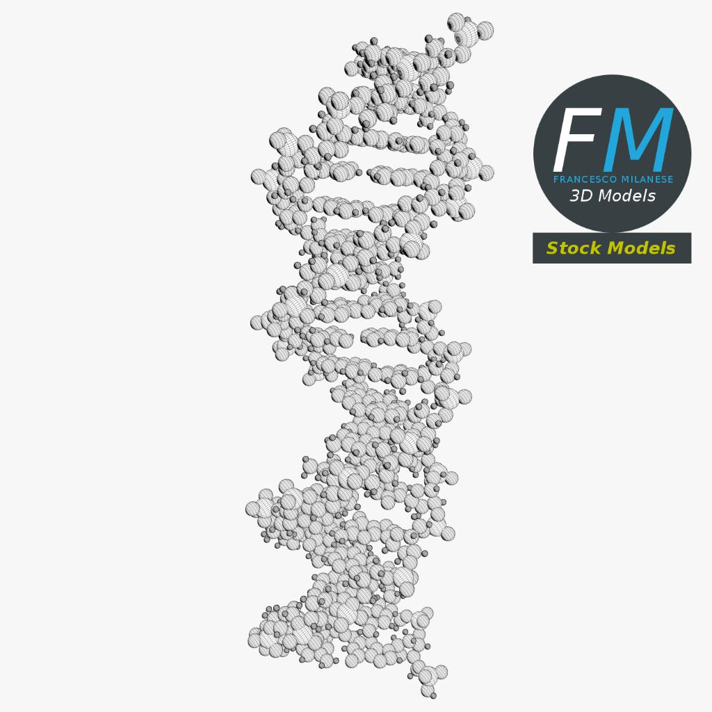 3D-Modell - DNA-Moleküle - 07