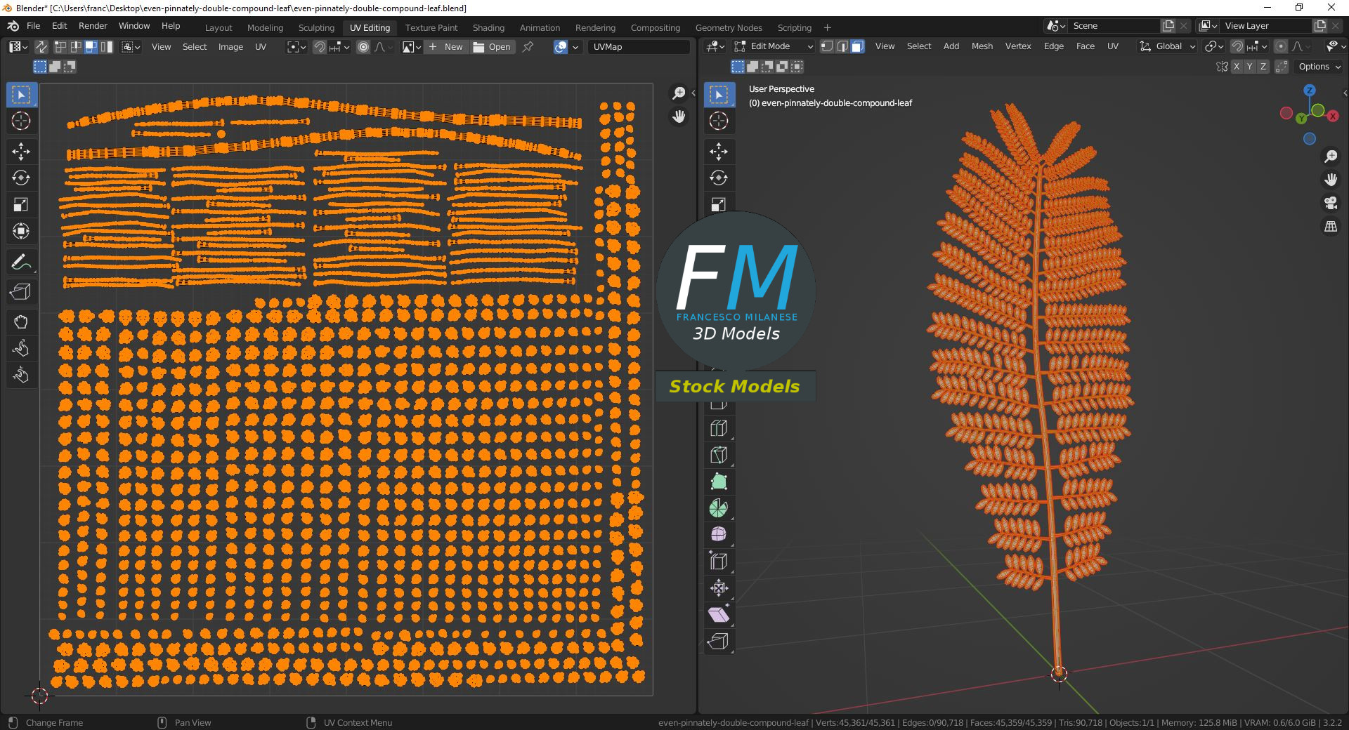 3D-Modell - Doppelt Gefiedertes Paarig Gefiedertes Blatt - 10