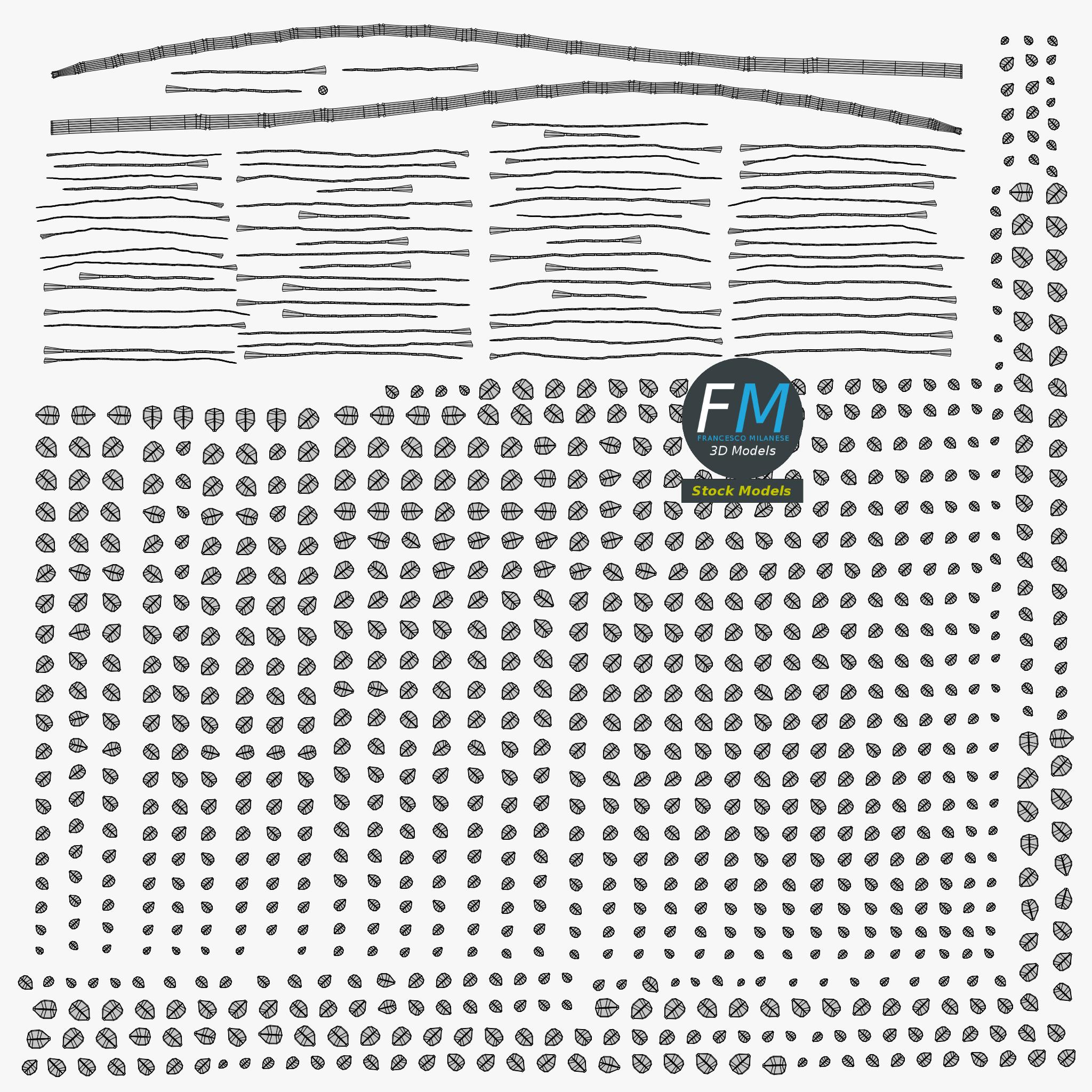 3D-Modell - Doppelt Gefiedertes Paarig Gefiedertes Blatt - 11 3D-Modell - Doppelt Gefiedertes Paarig Gefiedertes Blatt - 11
