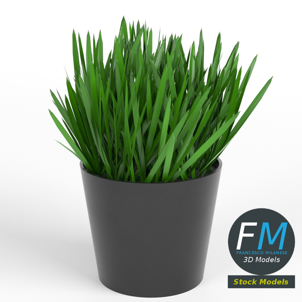 3D-Modell - Gras im Topf - 01