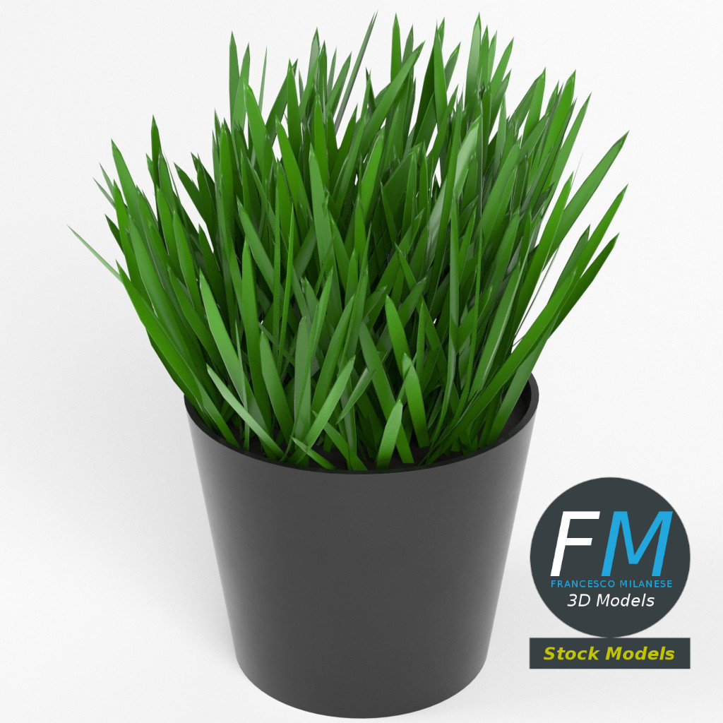 3D-Modell - Gras im Topf - 02