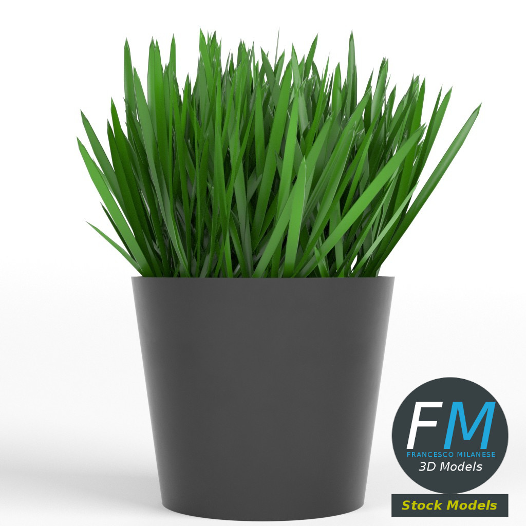 3D-Modell - Gras im Topf - 03