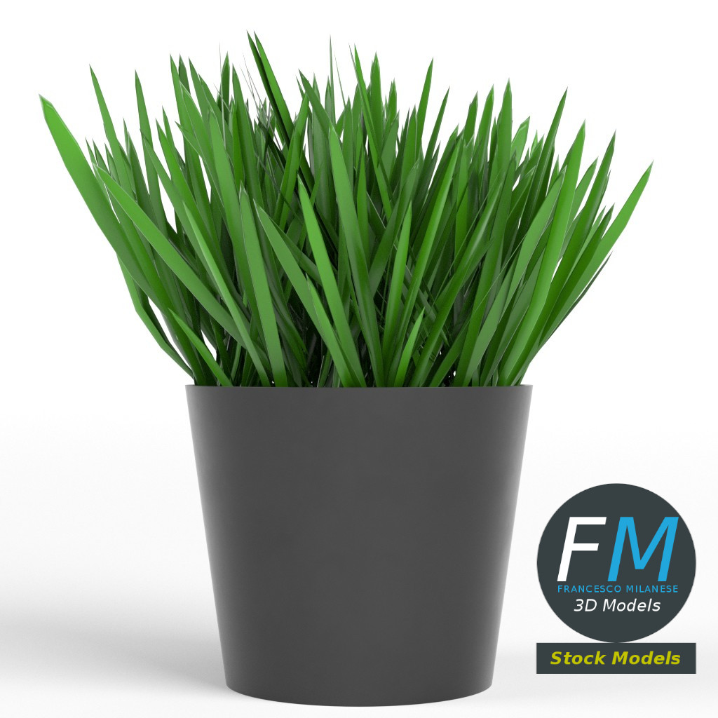 3D-Modell - Gras im Topf - 04