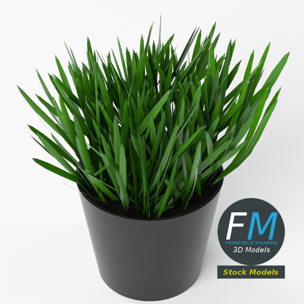 3D-Modell - Gras im Topf - 05