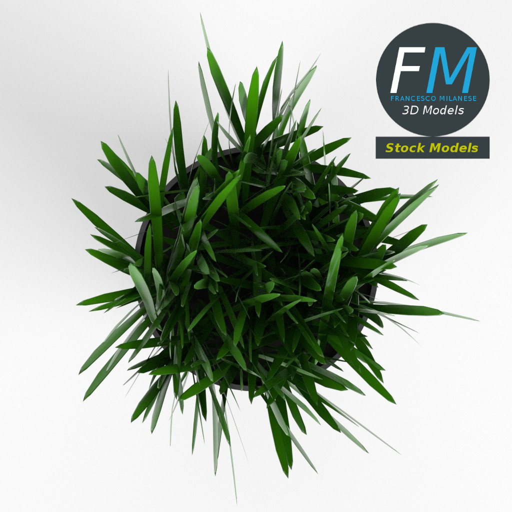 3D-Modell - Gras im Topf - 06