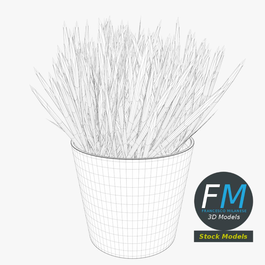 3D-Modell - Gras im Topf - 07
