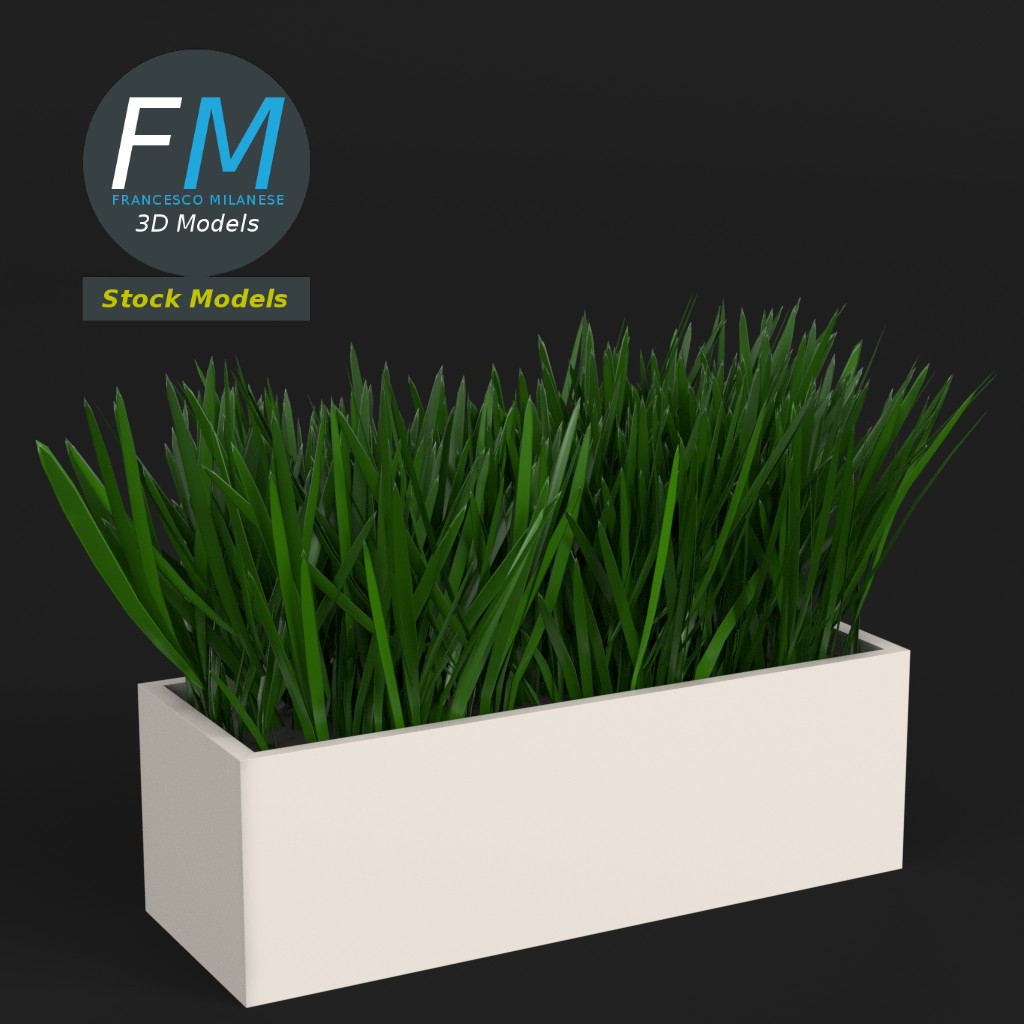 3D-Modell - Gras im Rechteckigen Pflanzgefäß - 01