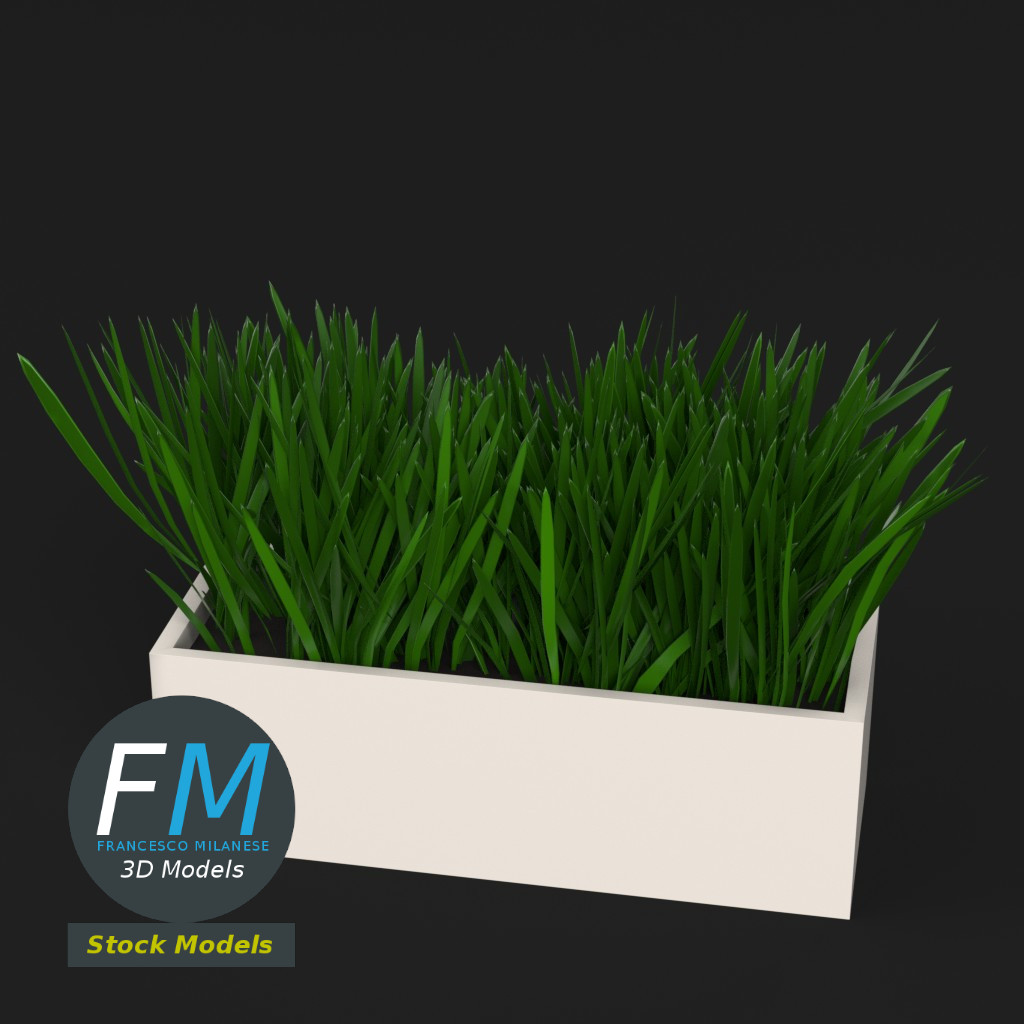 3D-Modell - Gras im Rechteckigen Pflanzgefäß - 02