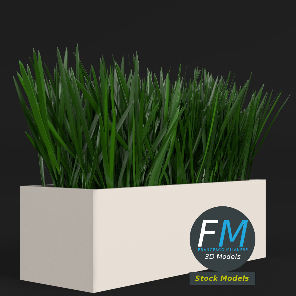 3D-Modell - Gras im Rechteckigen Pflanzgefäß - 03
