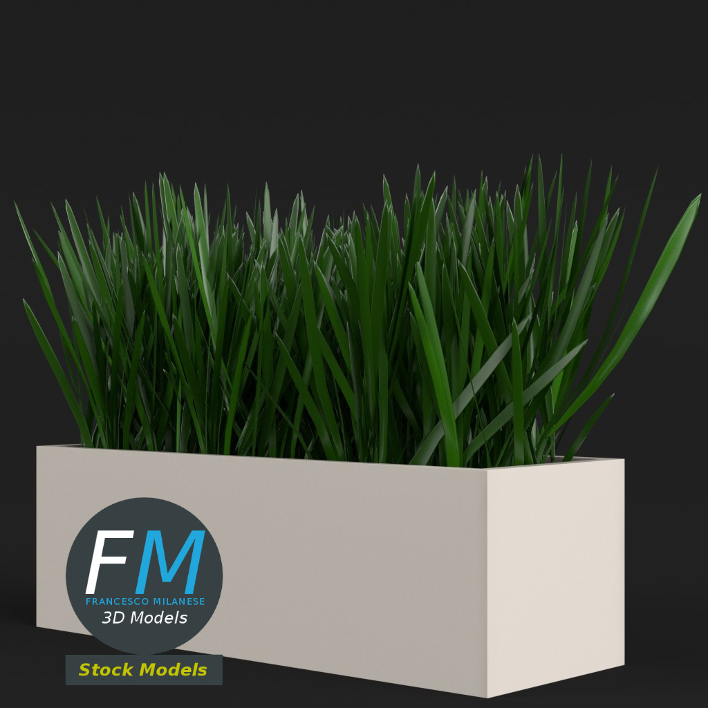 3D-Modell - Gras im Rechteckigen Pflanzgefäß - 04
