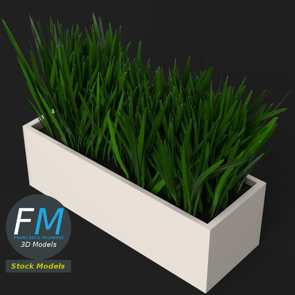 3D-Modell - Gras im Rechteckigen Pflanzgefäß - 05