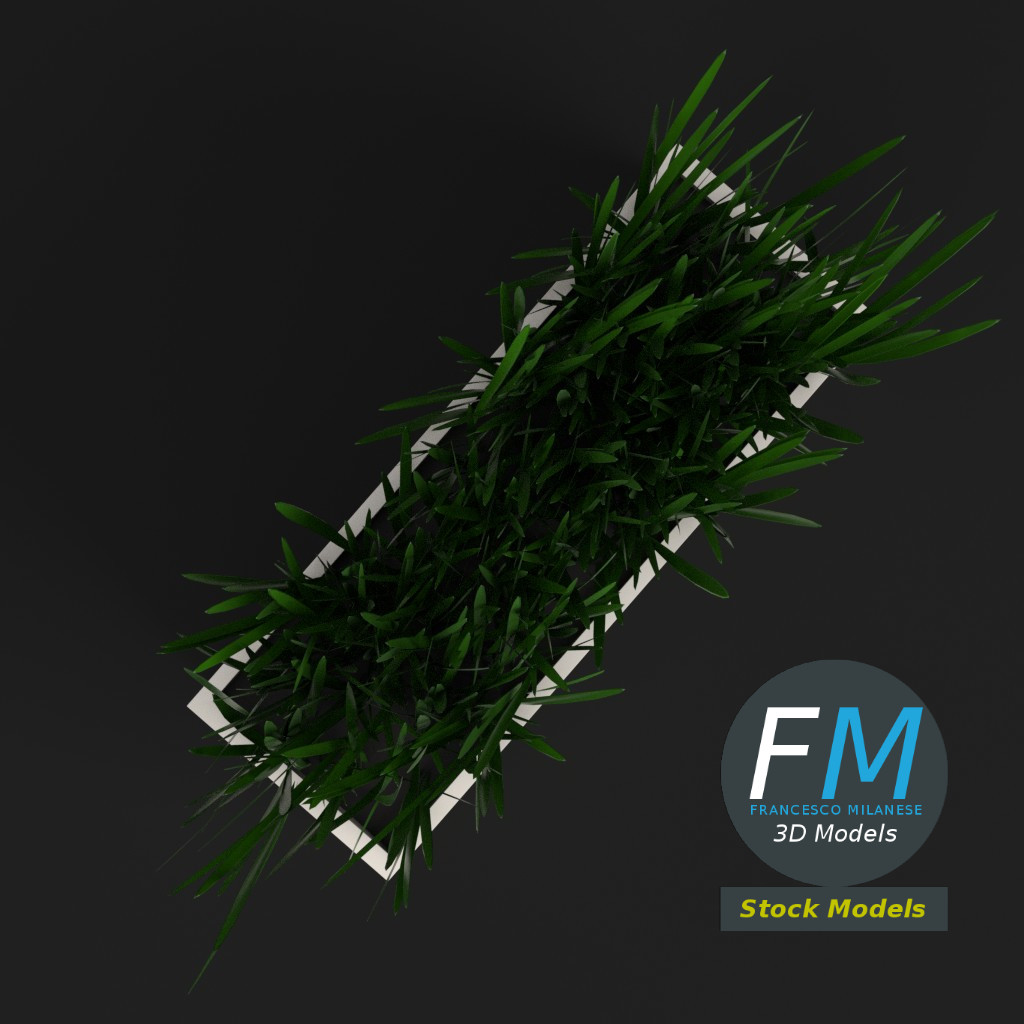 3D-Modell - Gras im Rechteckigen Pflanzgefäß - 06