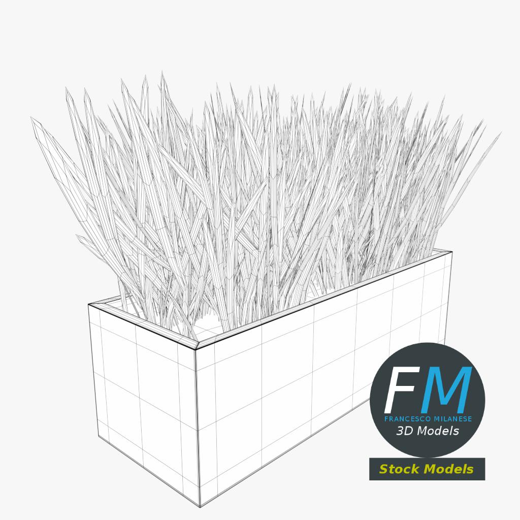 3D-Modell - Gras im Rechteckigen Pflanzgefäß - 07