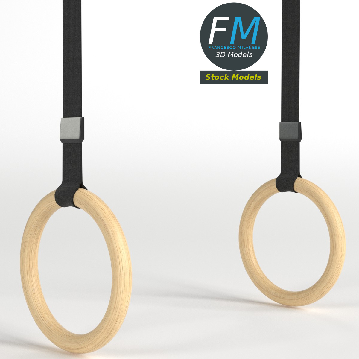 3D-Modell - Turnringe - 01