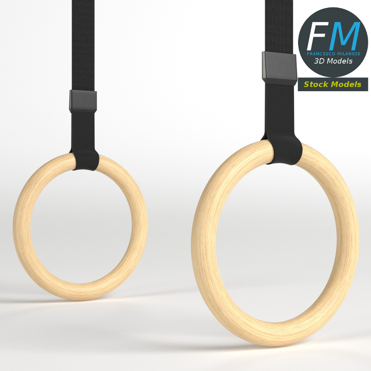 3D-Modell - Turnringe - 03