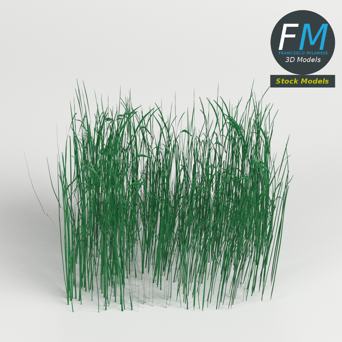 3D-Modell - Hohes Grasmodul - 01