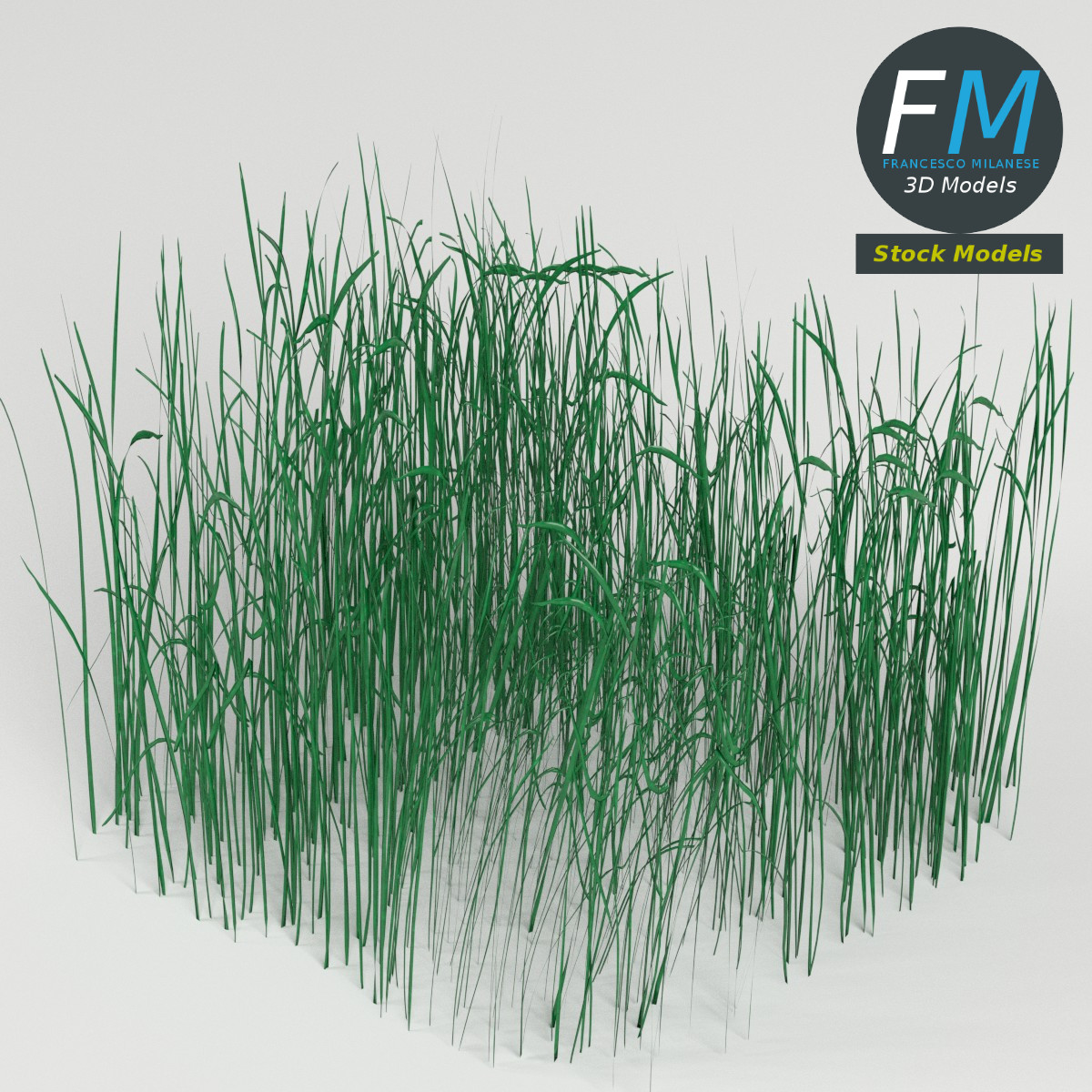3D-Modell - Hohes Grasmodul - 02