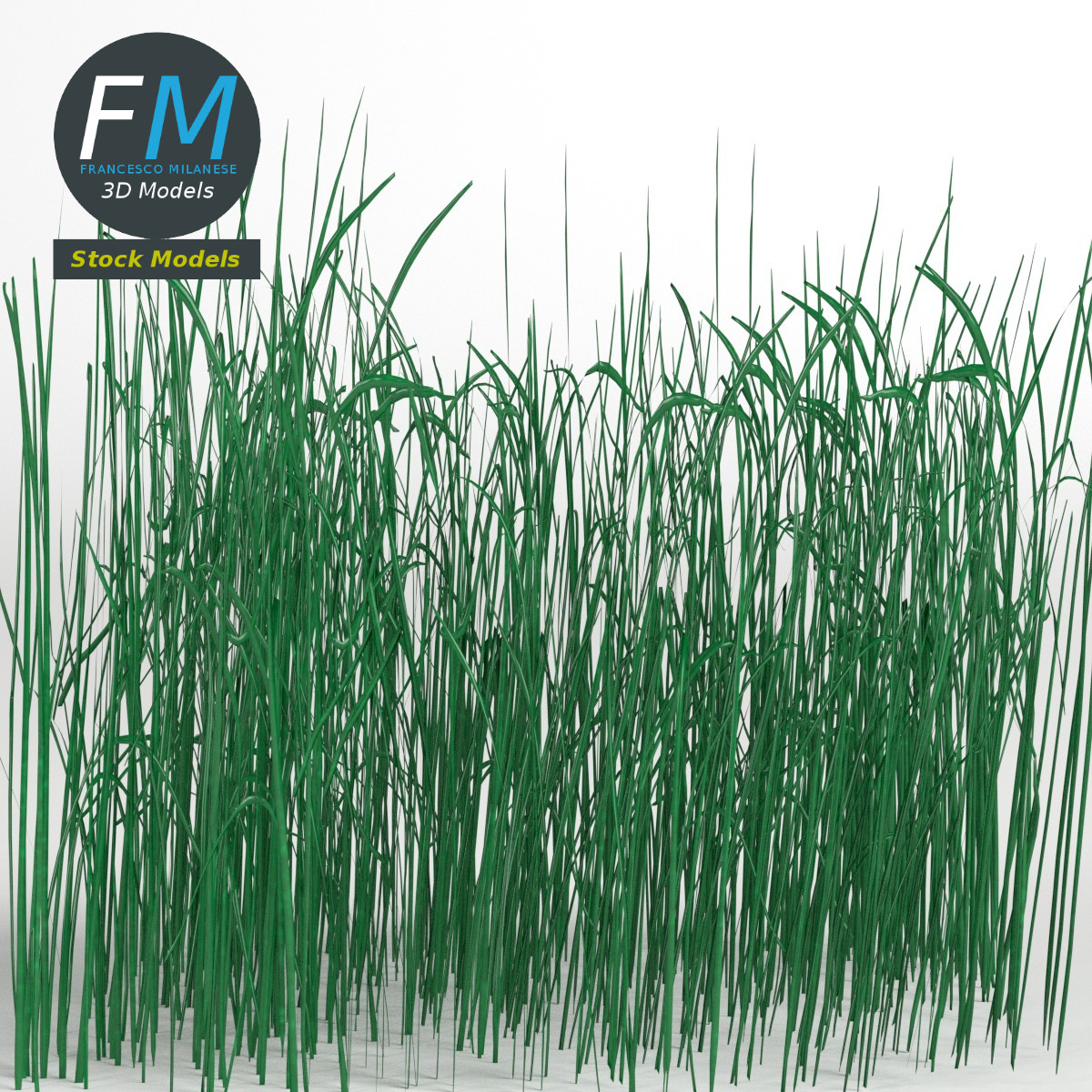 3D-Modell - Hohes Grasmodul - 03