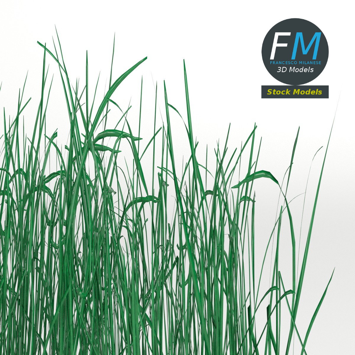 3D-Modell - Hohes Grasmodul - 04