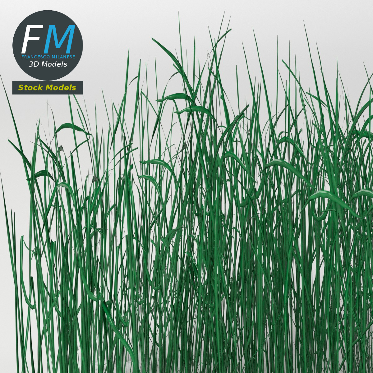 3D-Modell - Hohes Grasmodul - 05