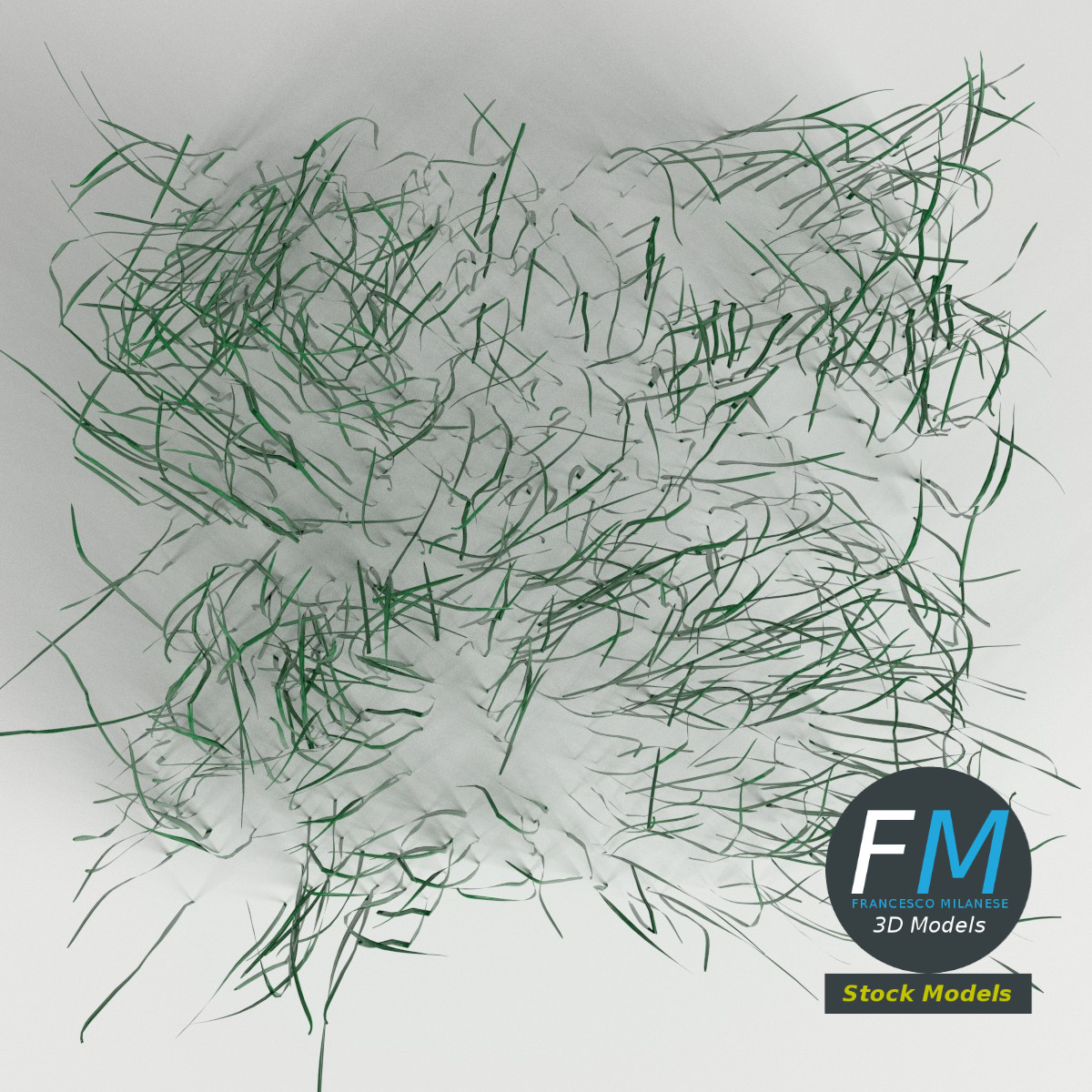 3D-Modell - Hohes Grasmodul - 06