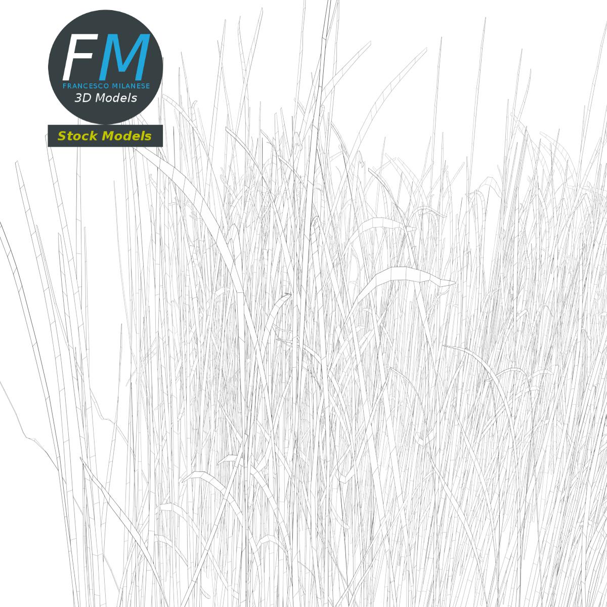 3D-Modell - Hohes Grasmodul - 07