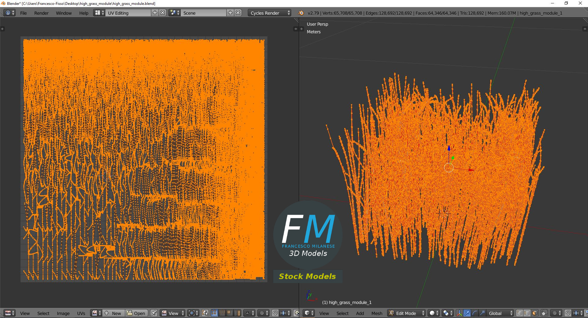 3D-Modell - Hohes Grasmodul - 10