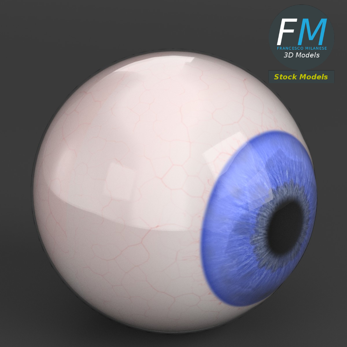 3D-Modell - Menschlicher Augapfel - 01