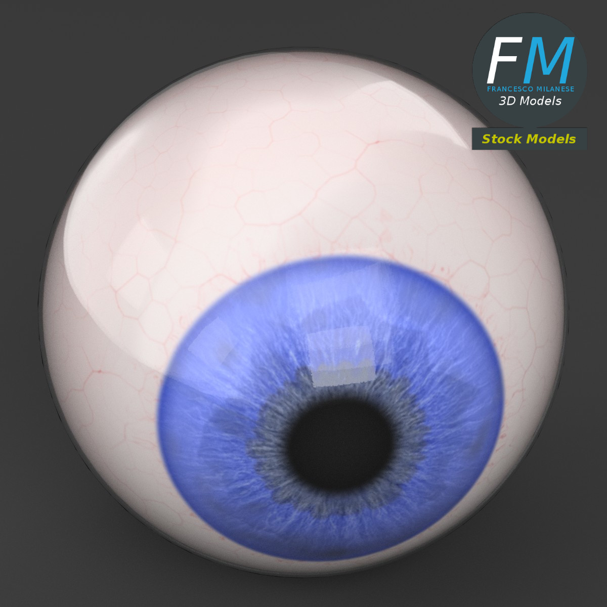 3D-Modell - Menschlicher Augapfel - 02