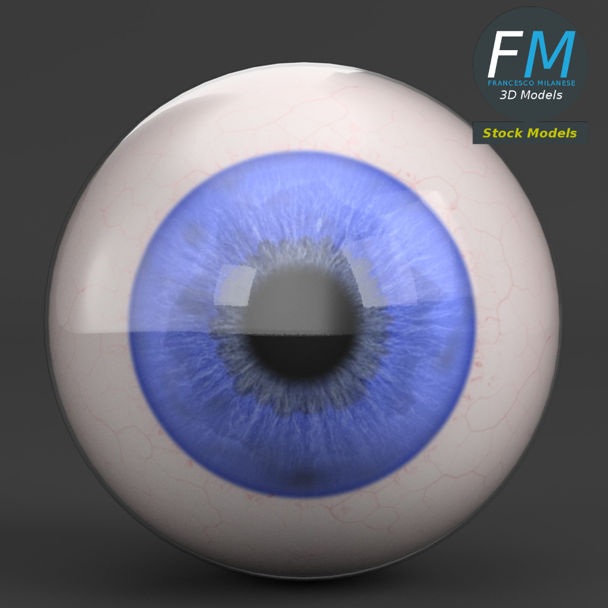 3D-Modell - Menschlicher Augapfel - 03