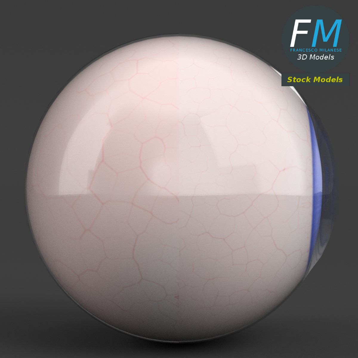 3D-Modell - Menschlicher Augapfel - 04