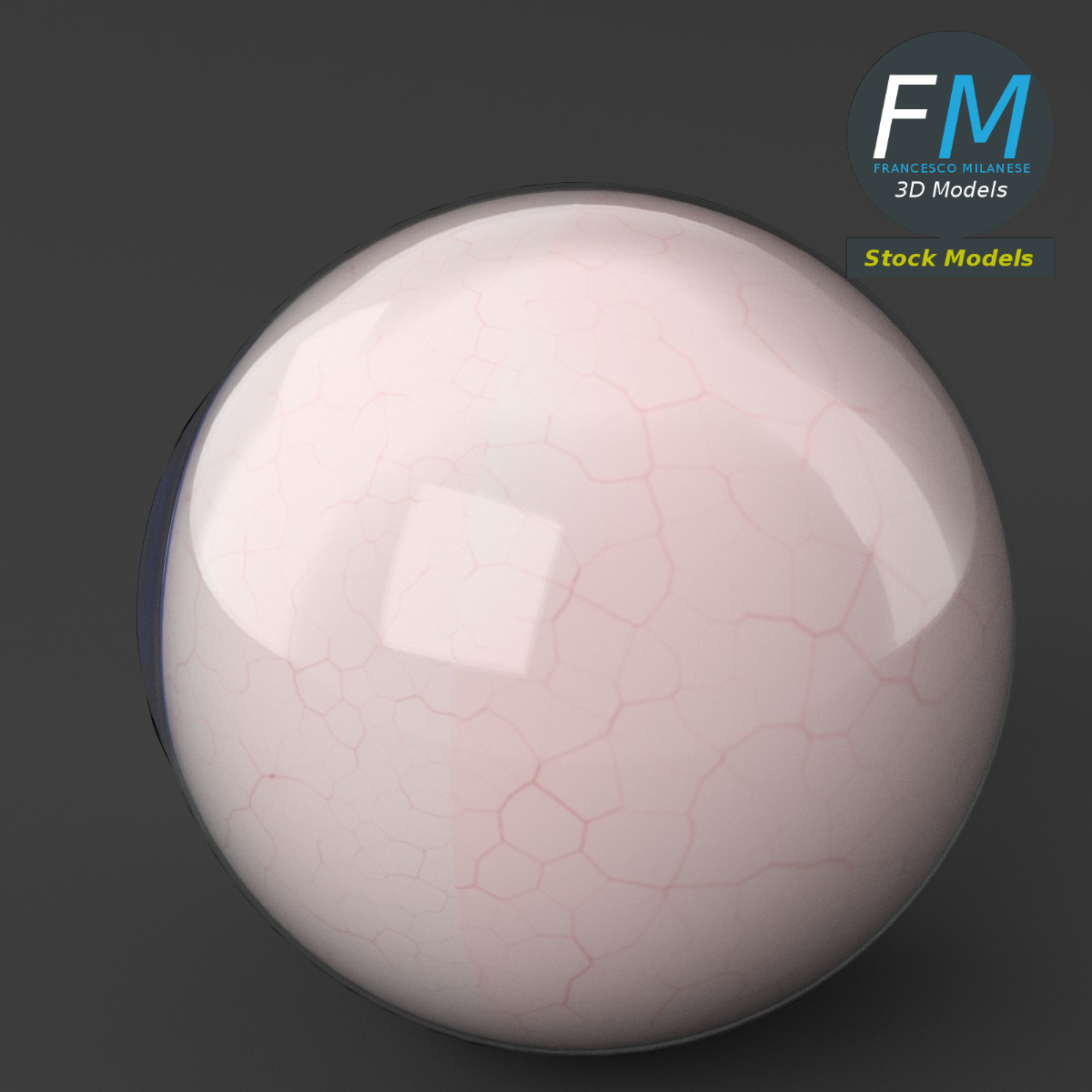 3D-Modell - Menschlicher Augapfel - 05