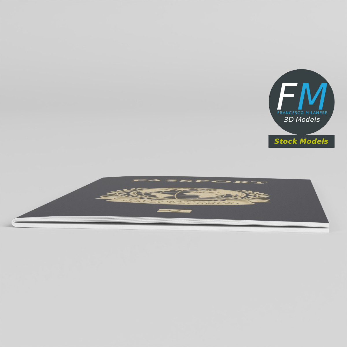 3D-Modell - Internationaler Reisepass - 03