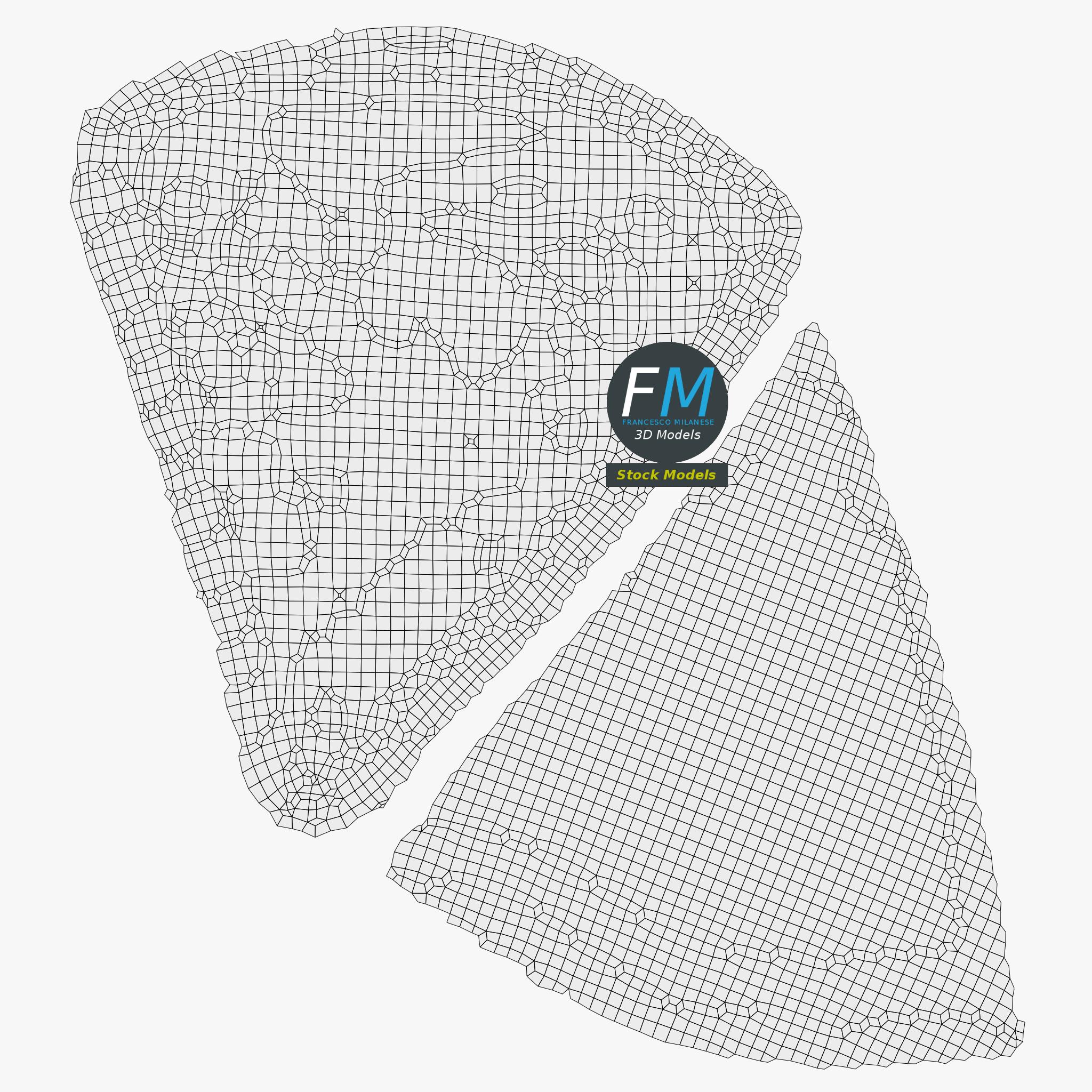 3D-Modell - Stück Margherita-Pizza - 11 3D-Modell - Stück Margherita-Pizza - 11