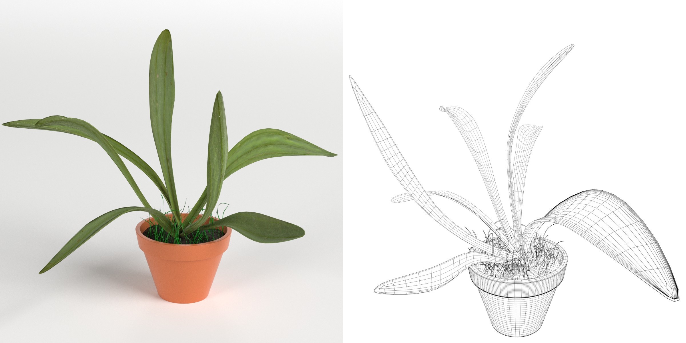 3D-Modell - Topfpflanze