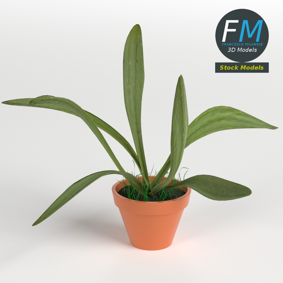 3D-Modell - Topfpflanze - 01