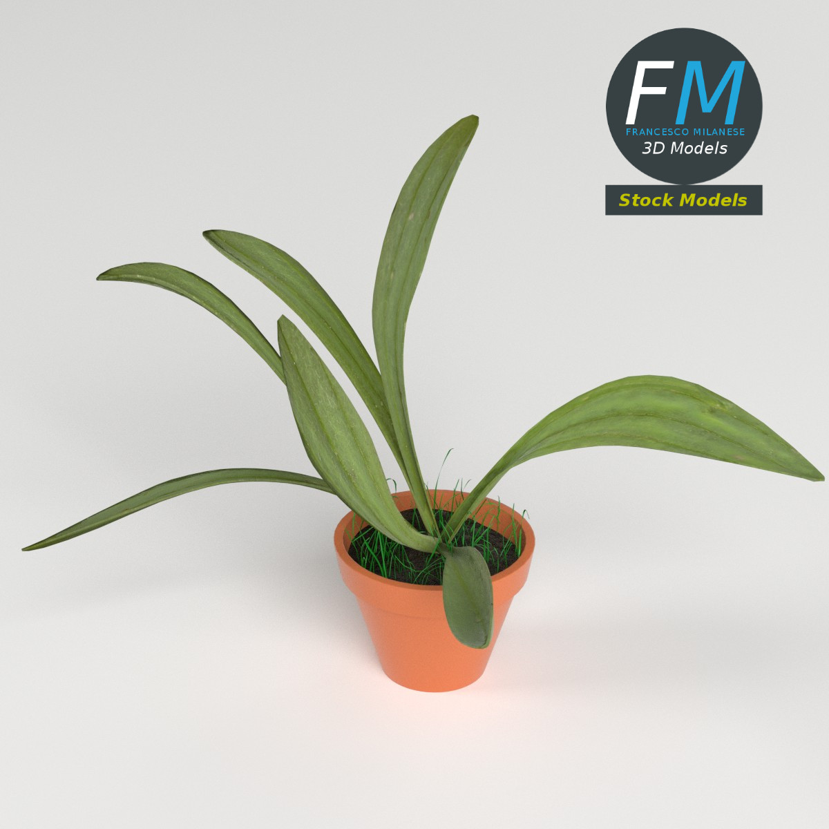 3D-Modell - Topfpflanze - 02