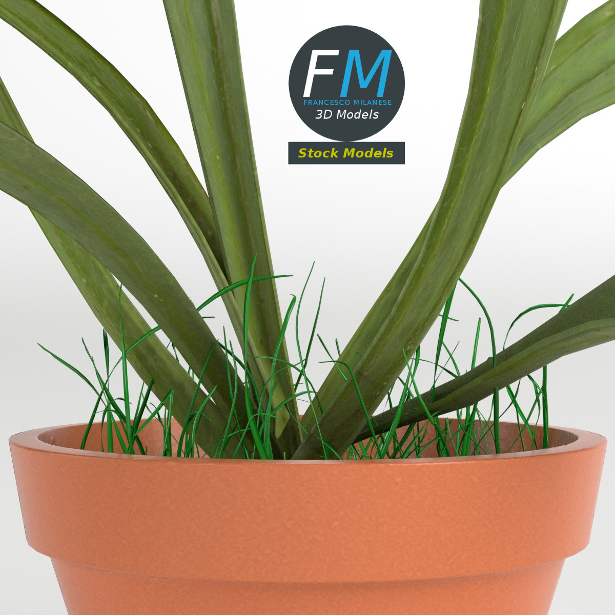 3D-Modell - Topfpflanze - 03