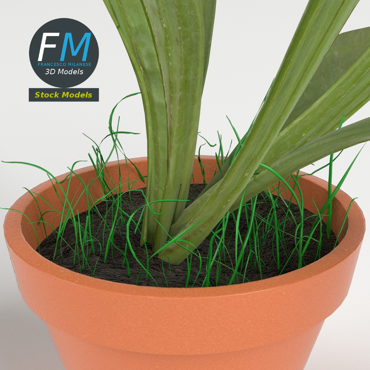 3D-Modell - Topfpflanze - 04