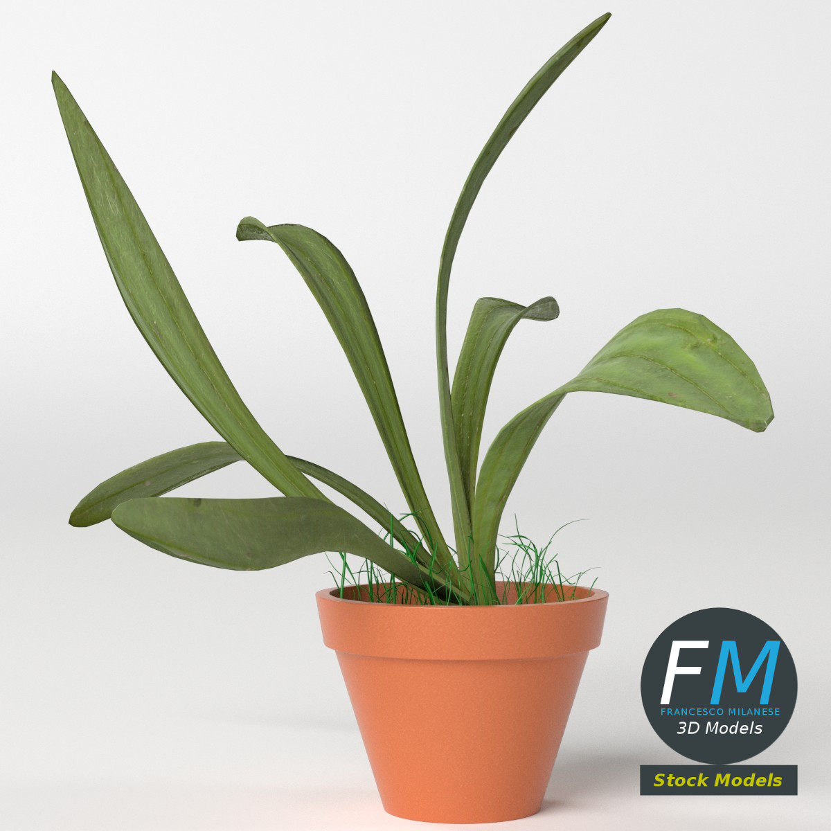 3D-Modell - Topfpflanze - 05