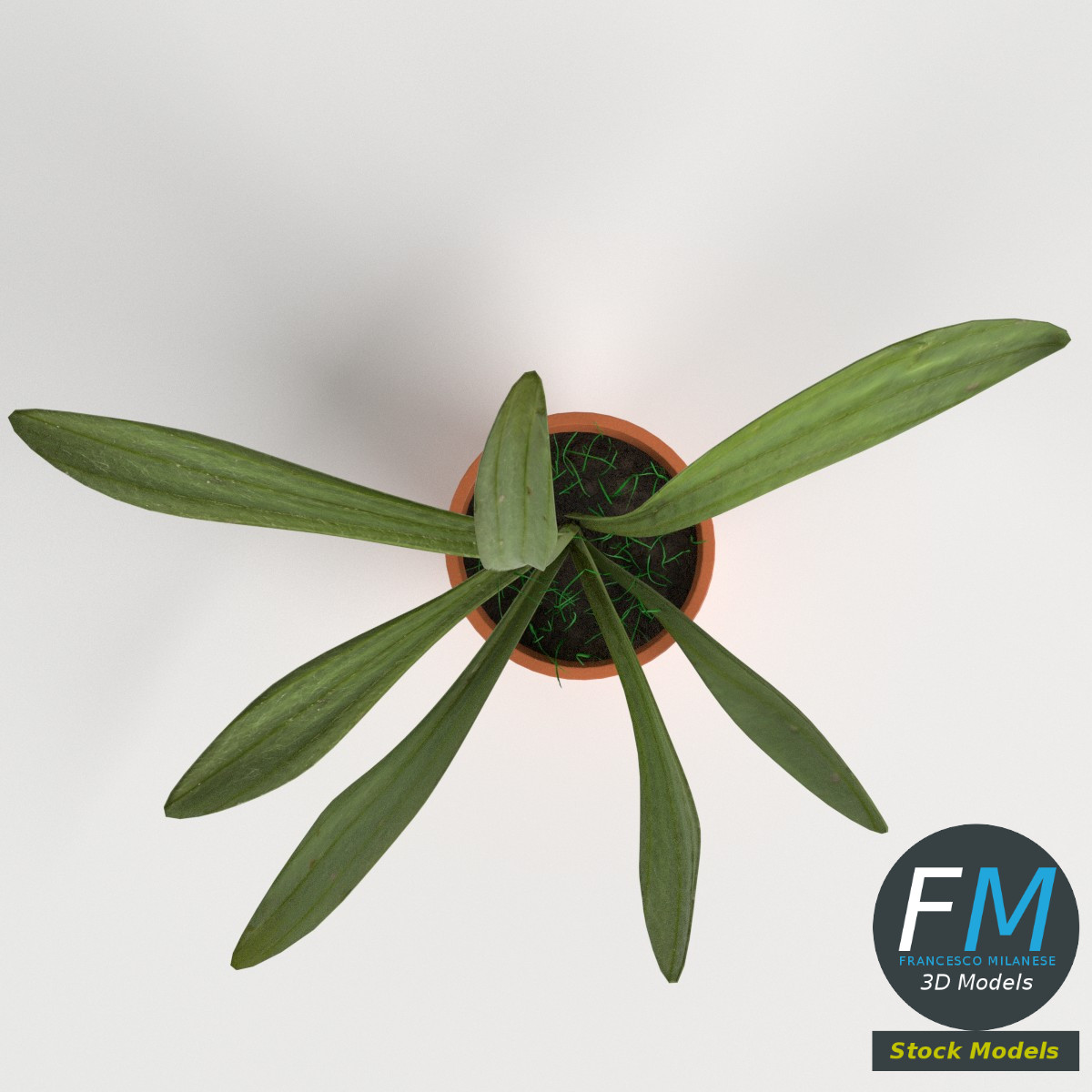 3D-Modell - Topfpflanze - 06