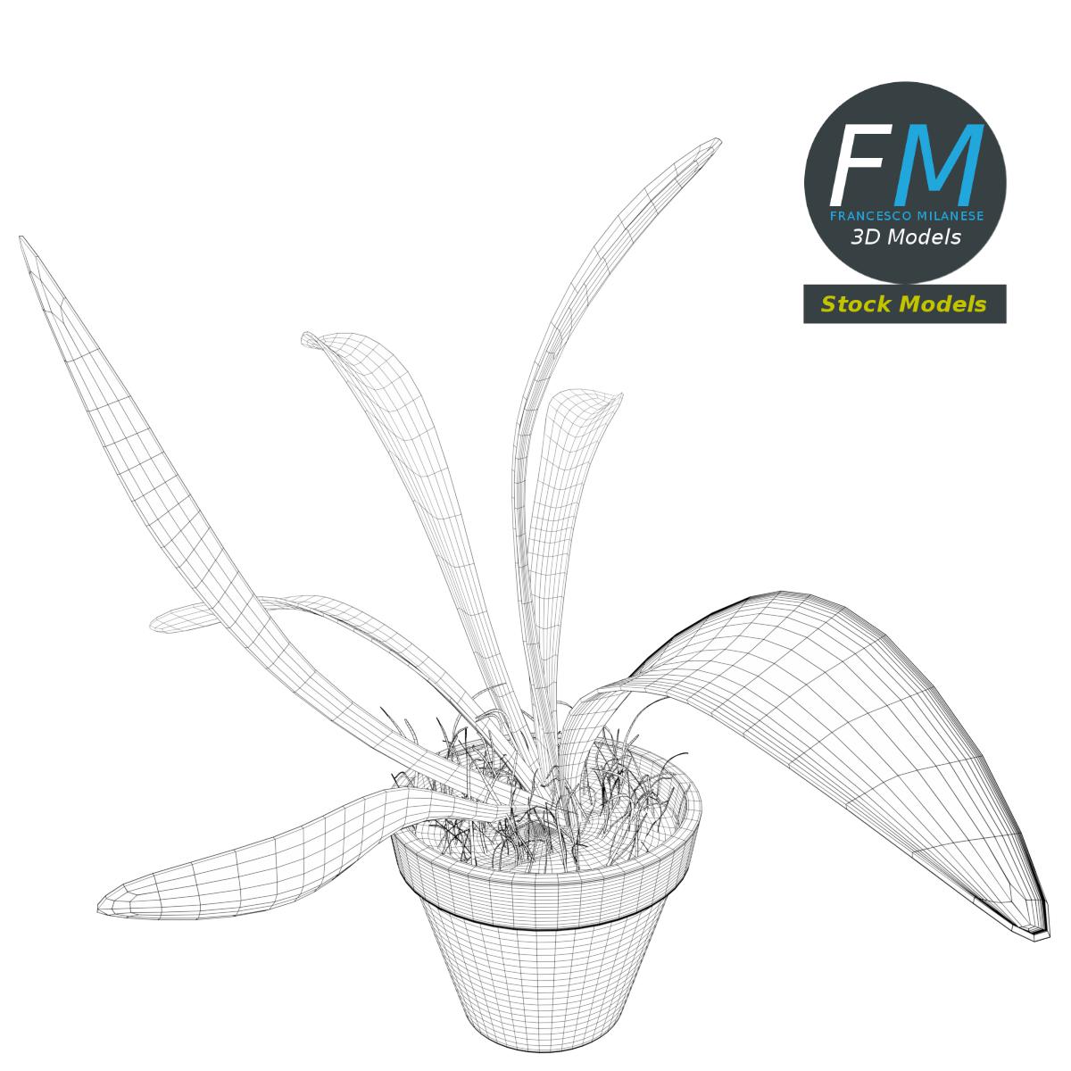 3D-Modell - Topfpflanze - 07